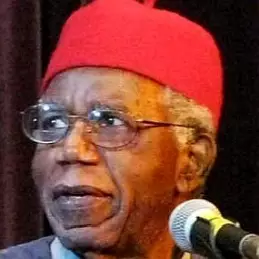 Chinua Achebe net worth