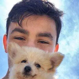 Eli Ailloni net worth