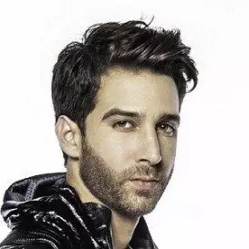 Elan Allende net worth