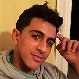 Alseidi Nation net worth