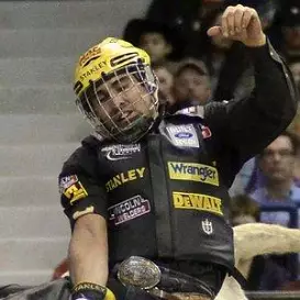 Silvano Alves net worth