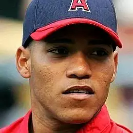 Alexi Amarista net worth