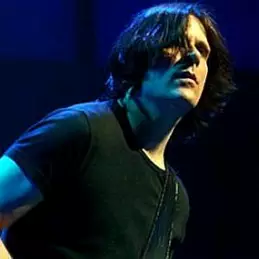 Rusty Anderson net worth