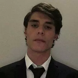 Andreasvince net worth