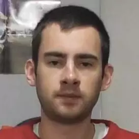 Angry Sonic net worth