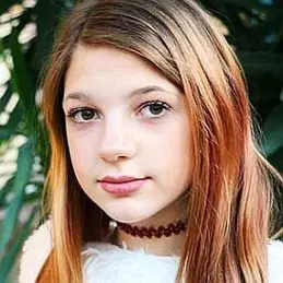 Annie's Vlogs net worth