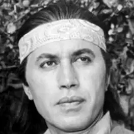 Michael Ansara net worth