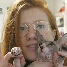 Ari Stocrate net worth