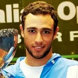 Ramy Ashour net worth