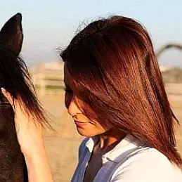 Mayssoun Azzam net worth