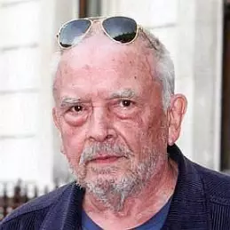 David Bailey net worth