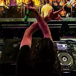 Bassnectar net worth