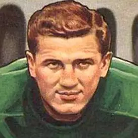 Chuck Bednarik net worth