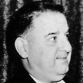 Joe Besser net worth