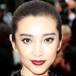 Li Bingbing net worth
