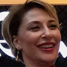 Gulse Birsel net worth