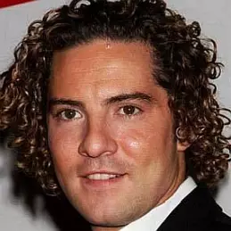 David Bisbal net worth