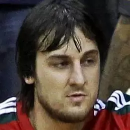 Andrew Bogut net worth