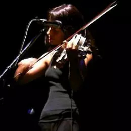 Tracy Bonham net worth