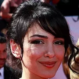 Nazanin Boniadi net worth