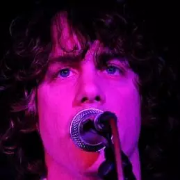 Johnny Borrell net worth