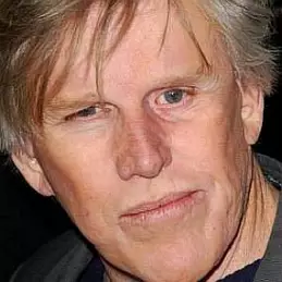 Gary Busey net worth