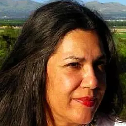 Ana Castillo net worth