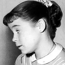 Lauren Chapin net worth