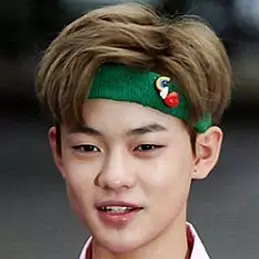 Chenle net worth