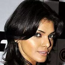 Sherlyn Chopra net worth