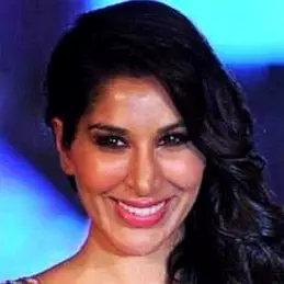 Sophie Choudry net worth