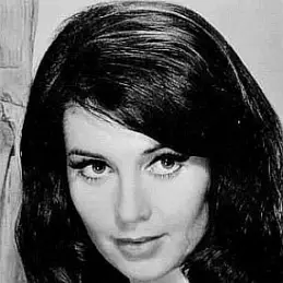 Anjanette Comer net worth