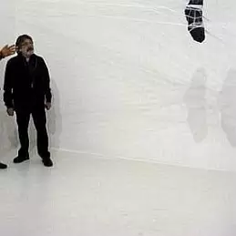 Carlos Cruz-diez net worth