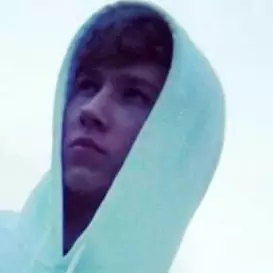 DailyTradingTips net worth