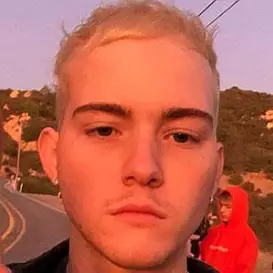 Trevor Daniel net worth