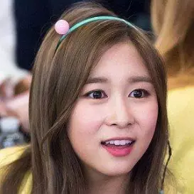 Dayoung net worth