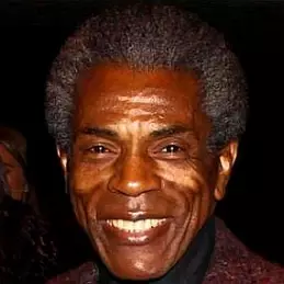 Andre De Shields net worth