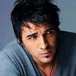 Blerim Destani net worth