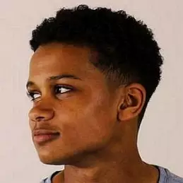 Alaman Diadhiou net worth