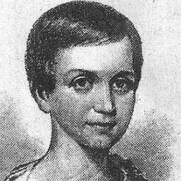 Emily Dickinson net worth