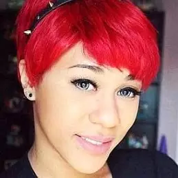 Drew Disaster net worth