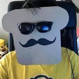 Disguised Toast net worth