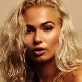 Diana Domnisor net worth