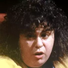 Andrea Dworkin net worth