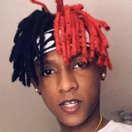 ElFlacoWTF net worth