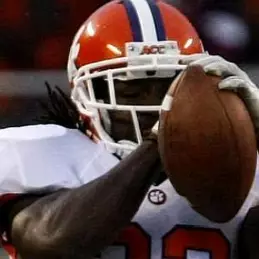 Andre Ellington net worth