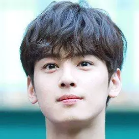 Cha Eunwoo net worth