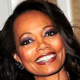 Lola Falana net worth