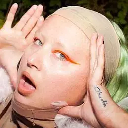 Emilia Fart net worth