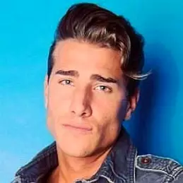 Nicolo Federico Ferrari net worth